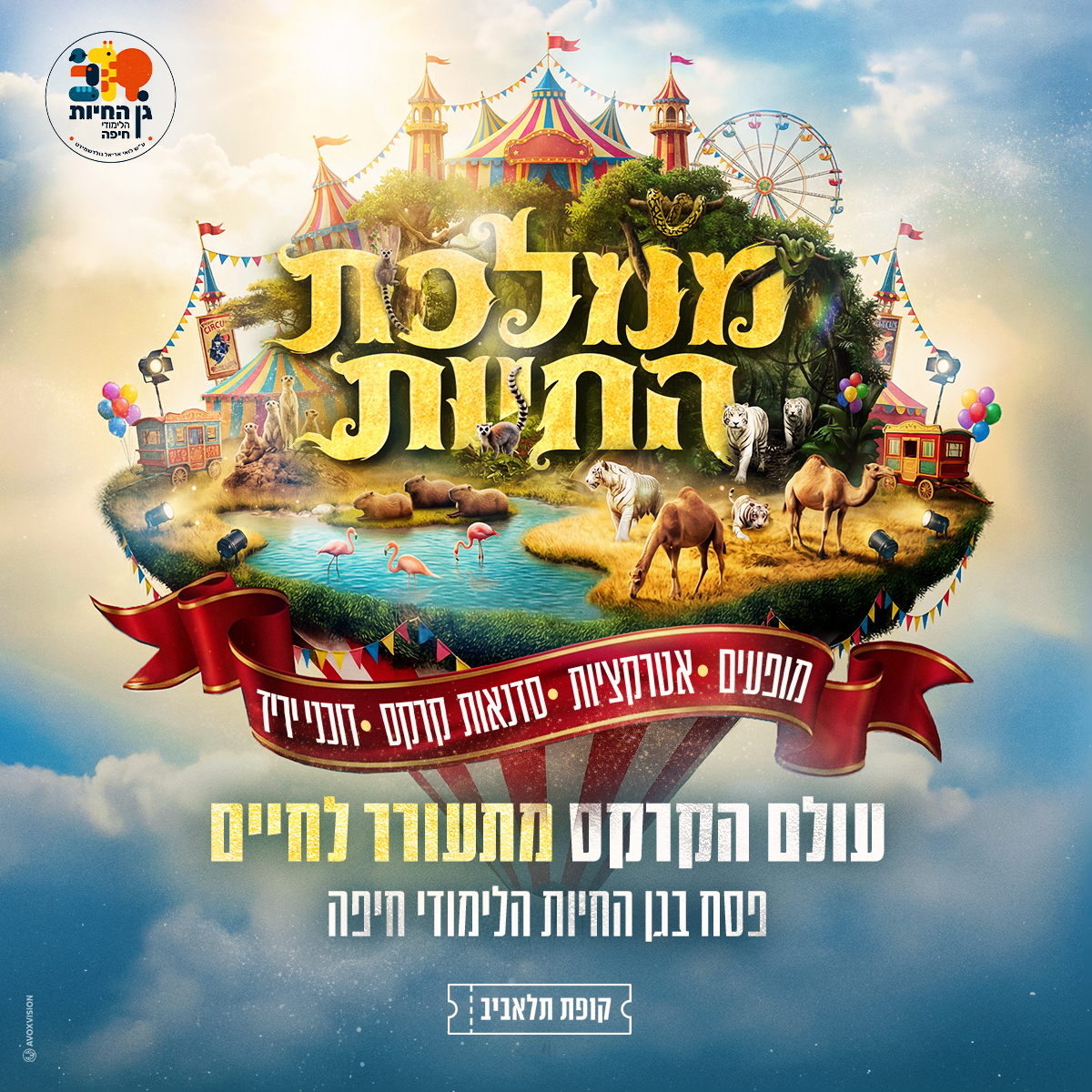 ממלכת החיות - עולם הקרקס