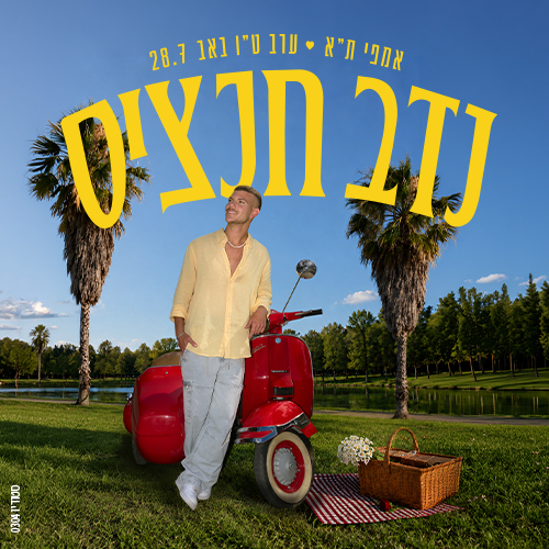 נדב חנציס